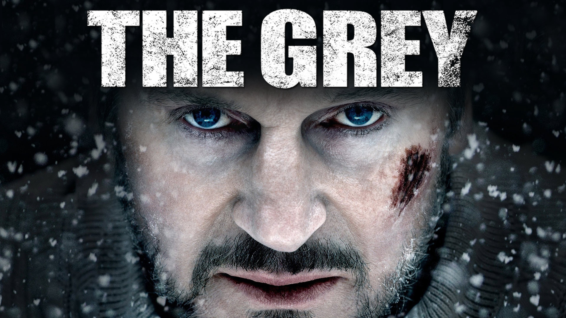Xem Phim Bản Năng Sinh Tồn (The Grey)