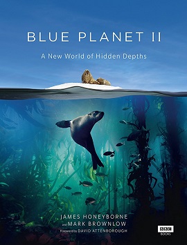 Xem Phim Hành Tinh Xanh 2 (Blue Planet 2)