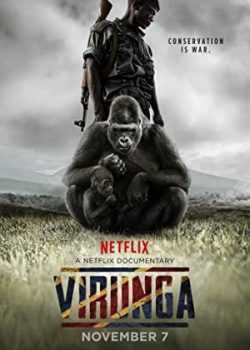 Xem Phim Những Chú Khỉ Cuối Cùng (Virunga)