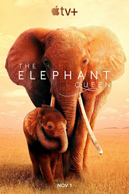 Xem Phim Nữ Hoàng Voi (The Elephant Queen)