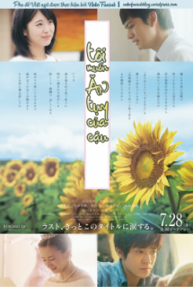 Xem Phim Kimi no Suizo wo Tabetai LIVE ACTION (Let Me Eat Your Pancreas, I Want to Eat Your Pancreas, TÔI MUỐN ĂN TỤY CỦA CẬU)