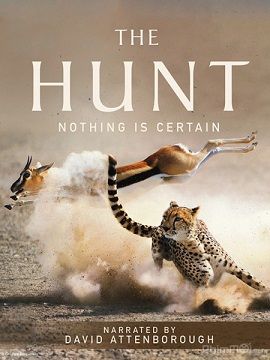 Xem Phim Săn Mồi (The Hunt)